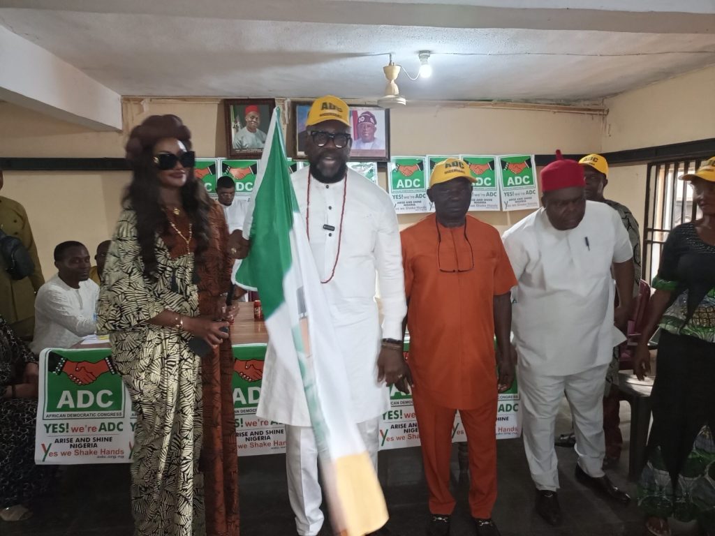 ADC Candidate Amamgbo Cries Foul, Alleges Systemic Sabotage in Anambra South Senatorial By-Election