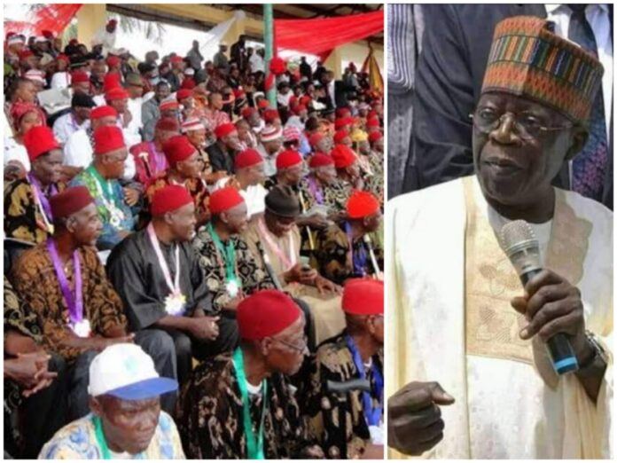 Ohanaeze Ndigbo Pledges Full Support For Tinubu’s Re-election