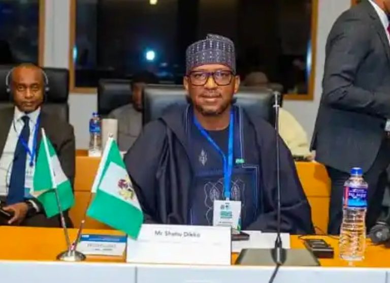 Nigeria’s 2026 World Cup Fate In FIFA’s Hands –Sports Commission Chair Dikko Says After Meeting With Tinubu