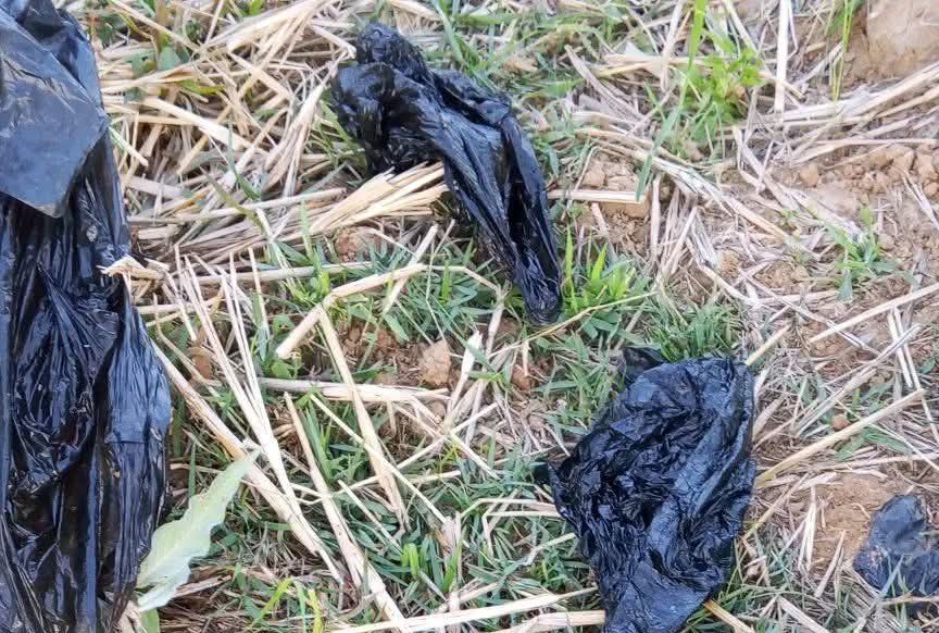 Unknown Mother Dumps Ab0rted Twins At Refuse Site In Plateau Community
