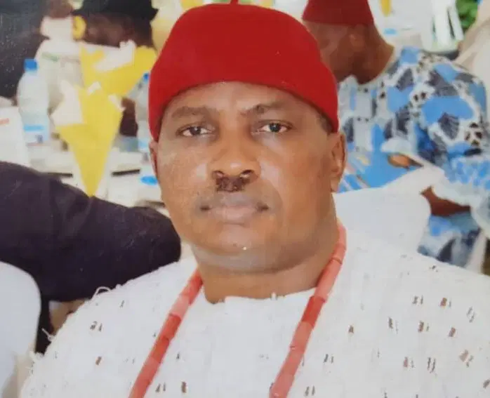 State Creation: Only Ned Nwoko Can Unlock Prosperity For Anioma People — Oganah