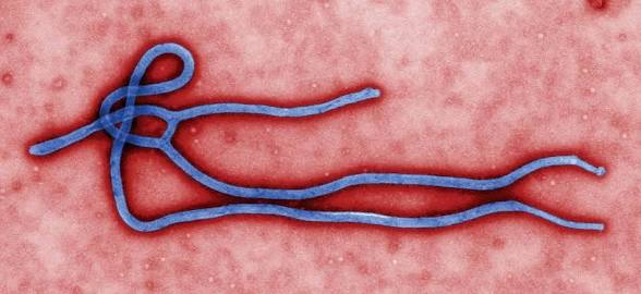 Deadly Ebola Outbreak Confirmed As 65 Die