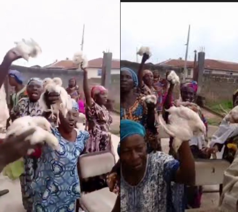 Oyo APC Senatorial Aspirant, Hon. Bambo, Shares Four-Week-Old Chickens With Widows During Grassroots Outreach