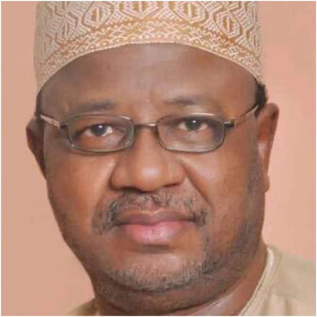 ‘I, Not Amaechi Brought Idea To Form APC’ – Umar Ardo