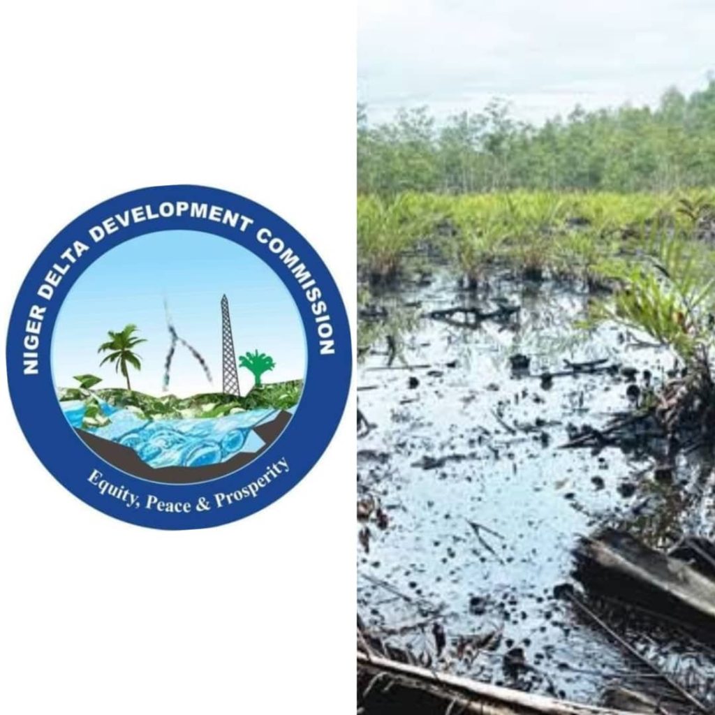 Oil Spill Debate: Public Affairs Analyst Defends NDDC Over Bille Crisis