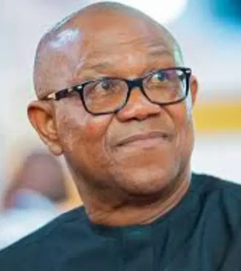 2027: PDP Chieftain Backs Peter Obi For Presidency