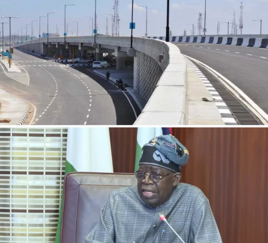 Stop Building Unnecessary Flyovers. You Can Do More For Citizens - Tinubu Tells Governors