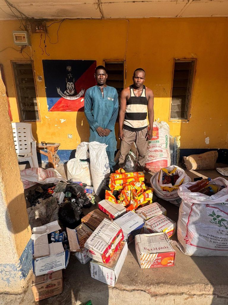 Troops Arrest Two Suspected ISWAP Logistics Suppliers, Recover Food Items, Communication Devices in Borno