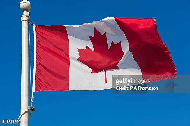 Canada Updates Visa Processing Times For Nigerians As Study Permit Wait Rises