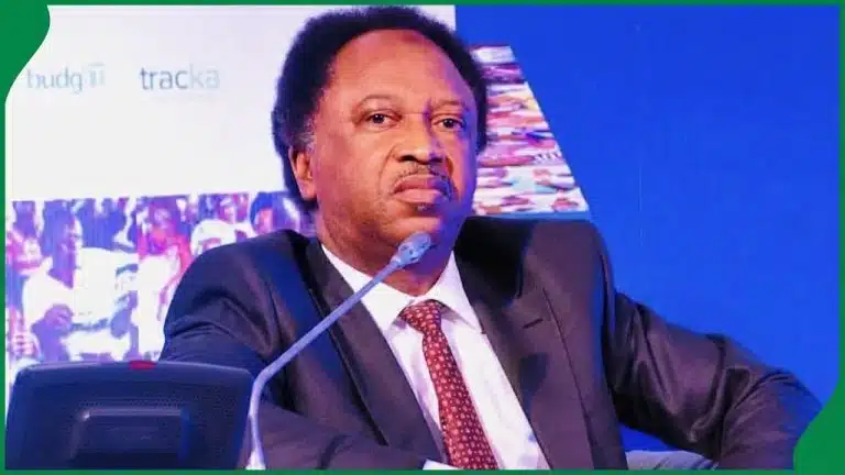 2027 Presidency: Allow Peter Obi, Makinde, Amaechi To Run, Let’s See Who Wins – Sani