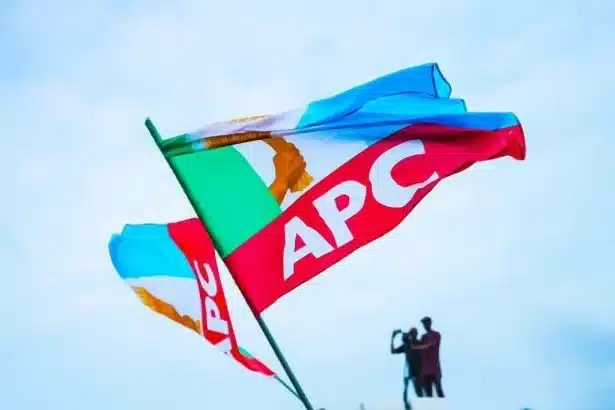APC Sweeps Enugu LG Polls, Wins 17 Chairmanship, 260 Councillorship Seats