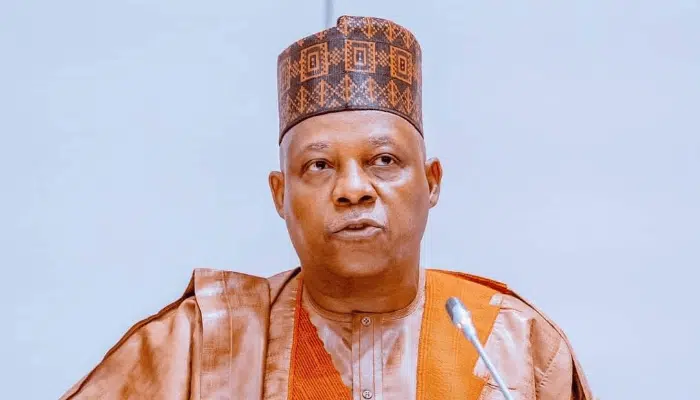 How Tinubu Treated Northern Governors Who Worked Against Him In 2023 - Shettima 