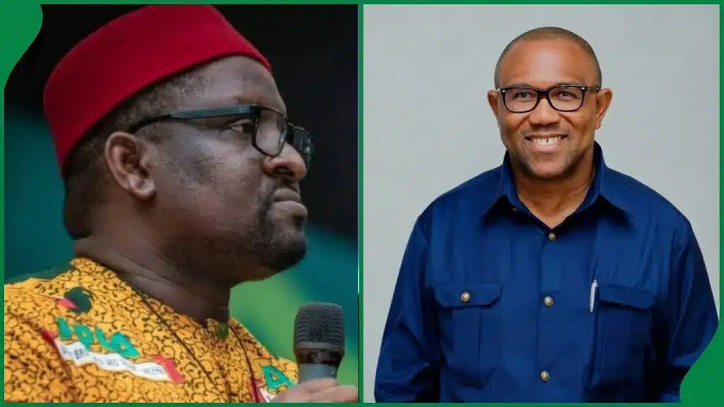 There Is No Pathway For Peter Obi’s Victory In 2027 Election’ –  APGA Chairman, Ezeokenwa