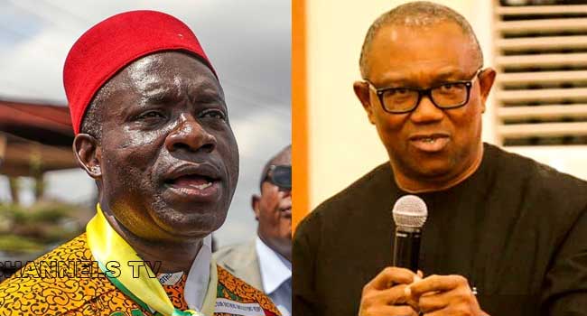 2027: ‘Peter Obi Will Disgrace Soludo In Anambra’ - Momodu