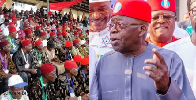 Ohanaeze Makes Fresh Demands From Tinubu Ahead Of 2027 Elections