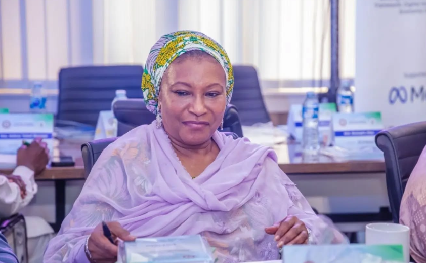 Senator Ireti Kingibe Claims Nigerians May Pay 25% Income Tax If APC Wins 2027 Elections