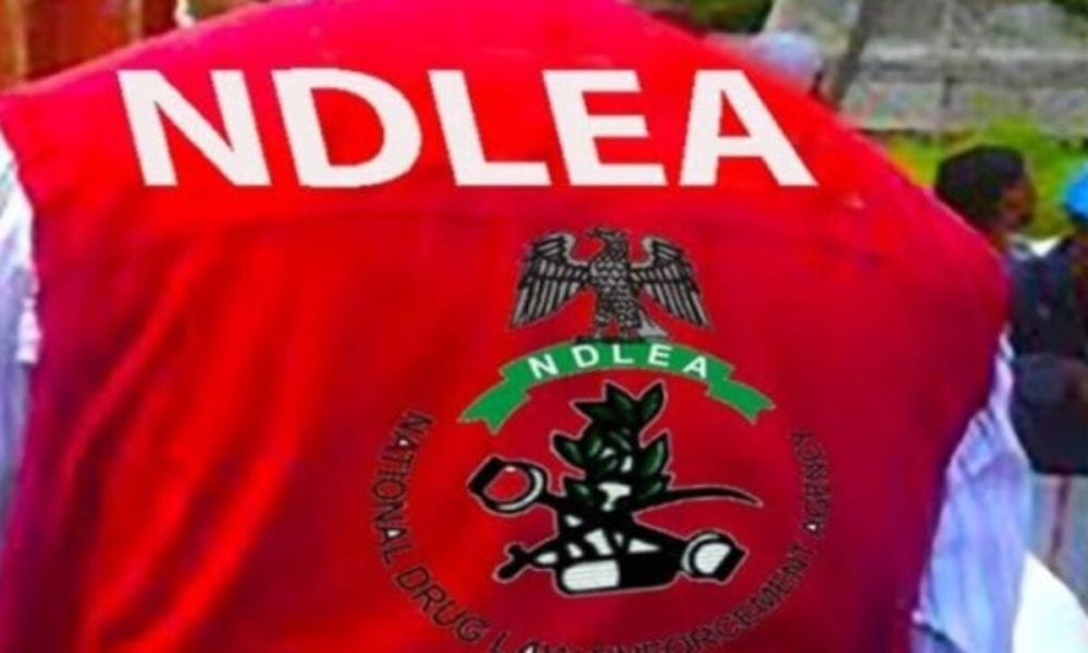 NDLEA Intercepts Italy-bound Businessman With cocaine Consignments