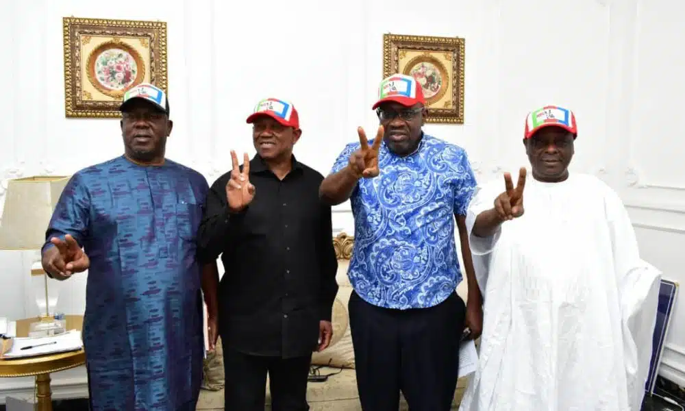 NDC Announces Date For NEC Meeting, Unveiling National Campaign Council