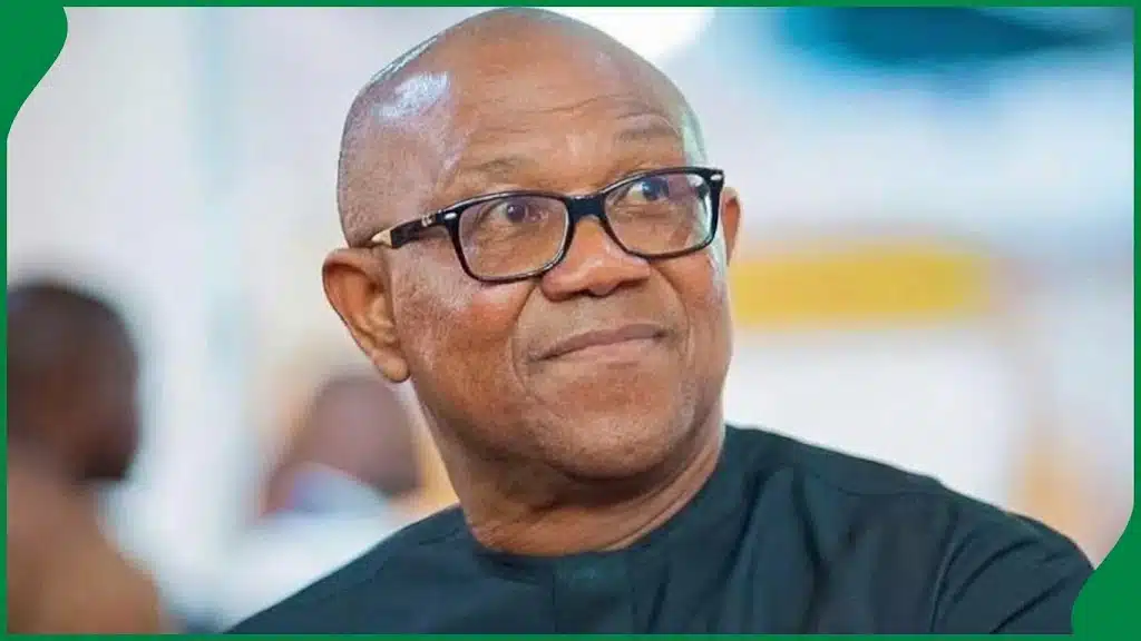 2027: Peter Obi Makes Demand, Says No Tribe Buys Bread Or Fuel Cheaper