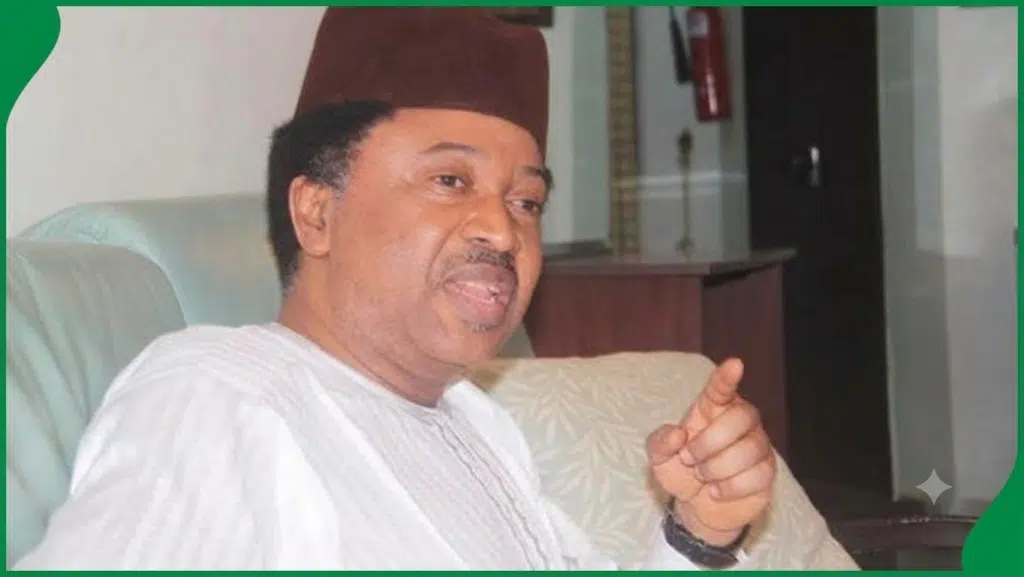 Shehu Sani Reveals What Could Happen If North Takes Power From Tinubu In 2027