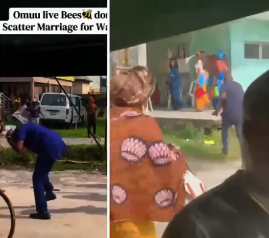 Guests Run For Their Lives After Bees Invade Wedding Reception In Delta [Video]