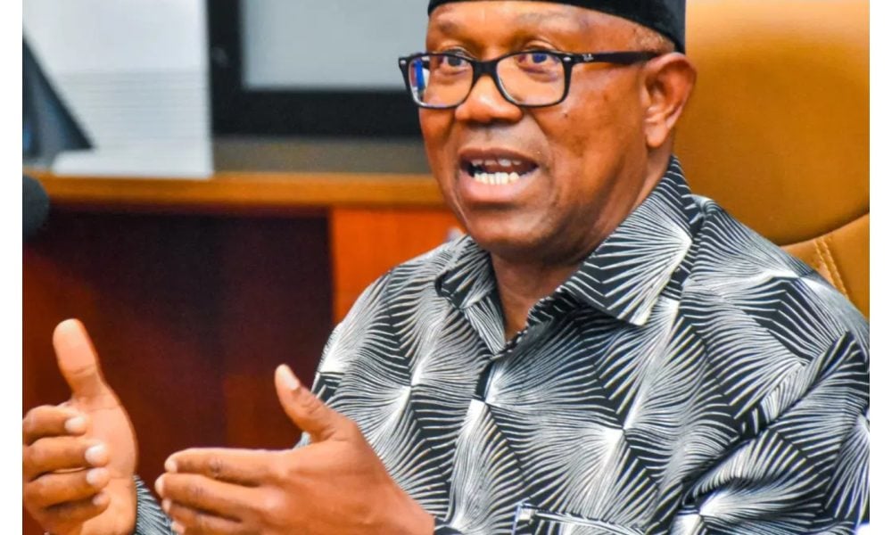 Peter Obi Breaks Silence On Enugu NDC Attack
