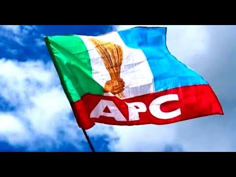 2027: APC Governor Names 3 States Giving Party Concern