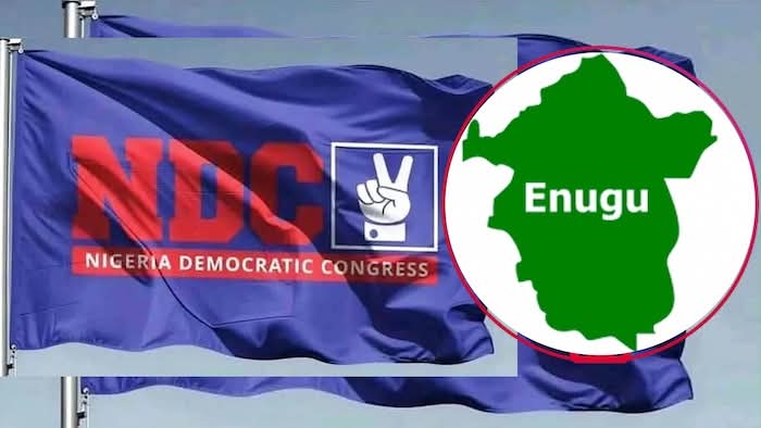 Gunmen Kill NDC Member During Attack On Enugu Campaign Office